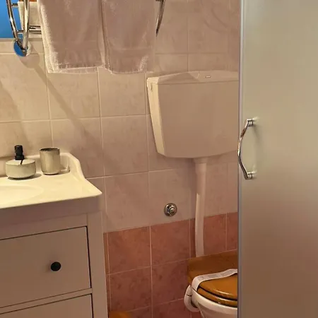 Ana Rita カンファナル